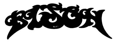 logo Bison BC